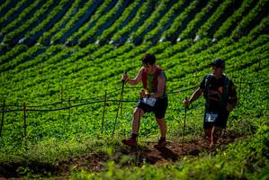 BIB: 
                            <button type="button" onclick="openModal(19160702)" class="btn btn-primary btn-sm float-right btn-popup" data-toggle="modal" data-target=".modal-high-quality">
                        <i class="fas fa-shopping-cart"></i> Add to Cart
                    </button>
                                            <button type="button" onclick="isThisMe(19160702, true)" class="btn btn-success btn-sm float-right btn-popup btn-isme hidden" data-toggle="tooltip" data-placement="bottom" title="นี่คือรูปของคุณใช่ไหม คลิกที่นี่เพื่อเอาเข้าอัลบั้ม">
                        <i class="fas fa-plus"></i> Add to album
                    </button>
                    <button type="button" onclick="isThisMe(19160702, false)" class="btn btn-warning btn-sm float-right btn-popup btn-isnotme hidden">
                        <i class="fas fa-ban"></i> Remove from album
                    </button>